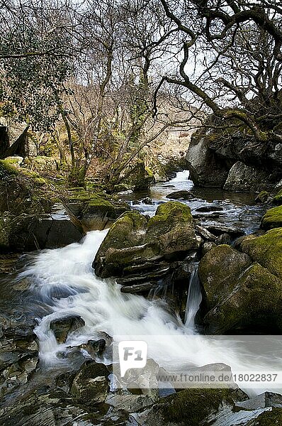 Um Felsen fließende Flusskaskaden  Fluss Marteg  Gilfach Farm Nature Reserve  Rhayader  Radnorshire  Wales  April