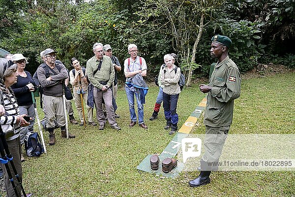 Park ranger explains rules of conduct for the tourists at the Bwindi Impenetrable Forest National Park  Uganda  Africa