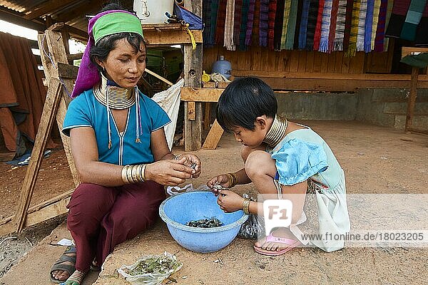 Kayan-Lahwi-Frau mit Messinghalsschleifen und traditioneller Kleidung mit ihrer Tochter. Sie waschen und entfernen Flügel von Zikaden  die sie zum Abendessen grillen werden  Pan Pet Region  Kayah State  Myanmar  Asien