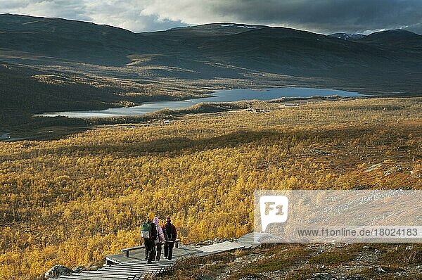 Walkers on boardwalk leading to summit of fell  Malla Strict Nature Reserve and Lake Kilpisjarvi in background  Saana Fell  Kilpisjarvi  Enontekio  Lapland  Finland  Europe