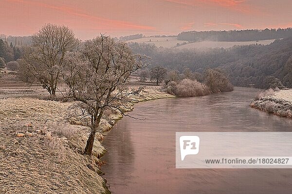 Blick auf den Fluss in der Morgendämmerung  Schafe auf frostiger Weide  Bigsweir  River Wye  Wye Valley  Monmouthshire  Wales  Winter