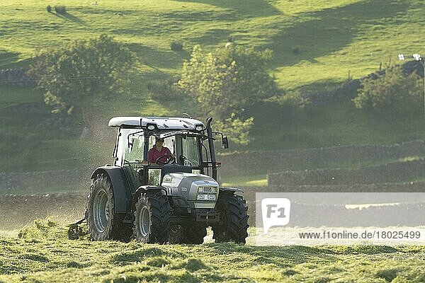 Hurlimann-Traktor mit Zettwender  Wenden von Gras auf einer Heuwiese im Hochland  Swaledale  Yorkshire Dales N. P. North Yorkshire  England  Juni