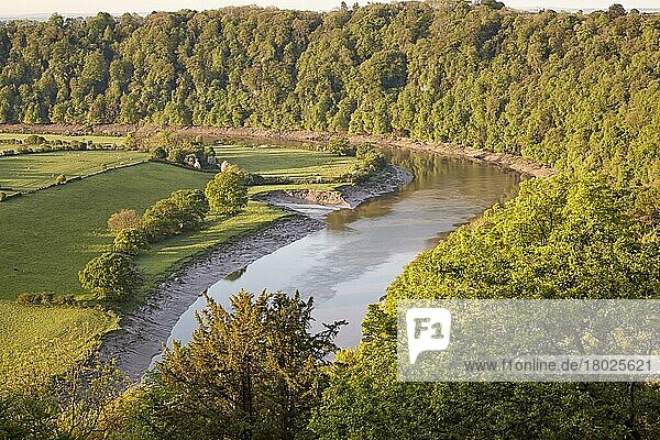 Ansicht des Flusses mit Ufererosion in der Morgendämmerung  Lower Wyndcliff  Chepstow  River Wye  Lower Wye Valley  Monmouthshire  Wales  Mai