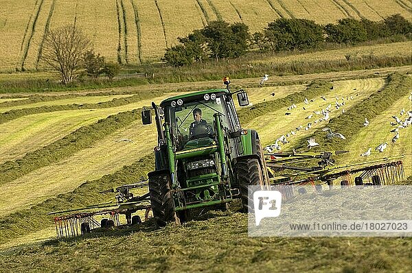 John-Deere-Traktor mit Zettwender  rudert Gras hoch in Vorbereitung auf die Silagebereitung  bei Stranraer  Dumfries and Galloway  Schottland  Juli