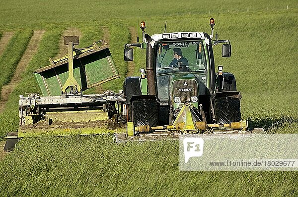 Mähen von zweitem Schnittgut mit front- und heckmontierten Mähaufbereitern auf Fendt-Traktor  Cumbria  England  September