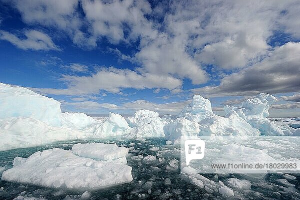 Schmelzendes Eis  Schollenkante  Arctic Bay  Baffin Island  Nunavut  Kanada  Nordamerika