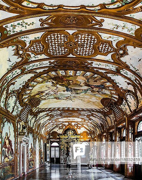 Hall of Rivers with an artificial foliage carving structure  16th-18th c. Venue for banquets  Hall of Rivers  Palazzo Duccale  Royal Palace  Castle of San Giorgio  Mantua  Lombardy  Italy  Mantua  Lombardy  Italy  Europe