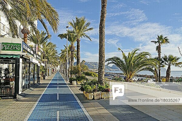 Palmen  Restaurants  Fahrradweg  Strandpromenade  Morgenlicht  Altea  Costa Blanca  Provinz Alicante  Spanien  Europa