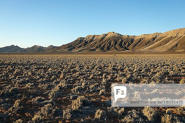 Mountains  landscape  C14  north of Solitaire  Namibia  Africa