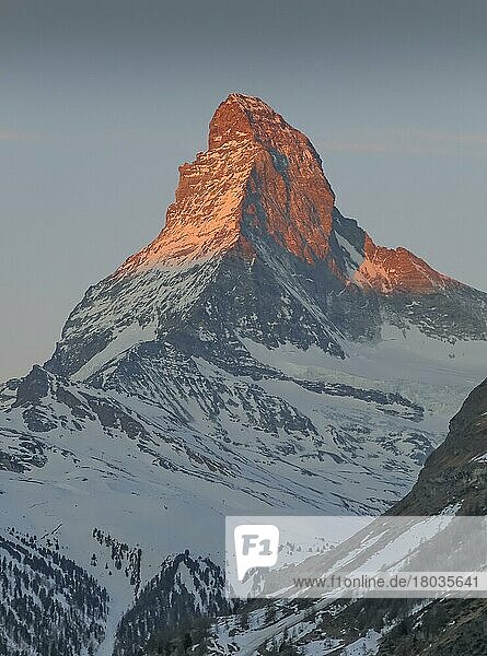 Matterhorn im Morgenlicht  Zermatt  Wallis  Schweiz  Europa