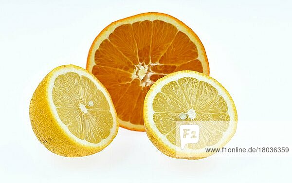 Süße Orange und Zitrone  Citrus aurantium sinensis  Citrus lemon