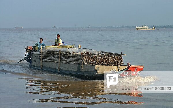 Frachter  Mekongdelta  Vietnam  Asien