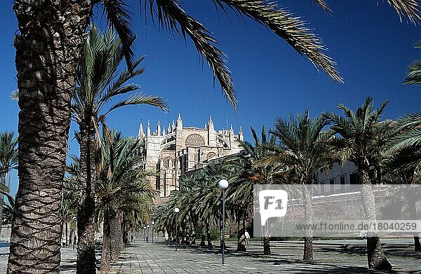 Kirche La Seu  Palma  Mallorca  Balearische Inseln  Spanien  Europa