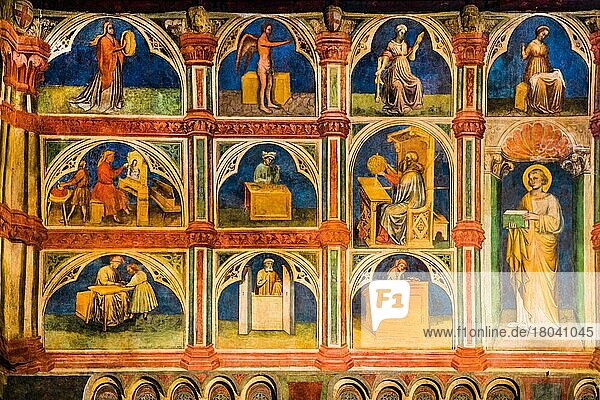 Council Chamber entirely painted with 15th century astrological and religious fresco cycle  Palazzo della Ragione  built as a courthouse  13th c. Padua  Treasury in the heart of Veneto  Italy  Padua  Veneto  Italy  Europe