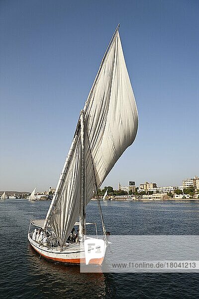 Segelschiff auf dem Nil  Assuan  Feluke  Ägypten  Afrika