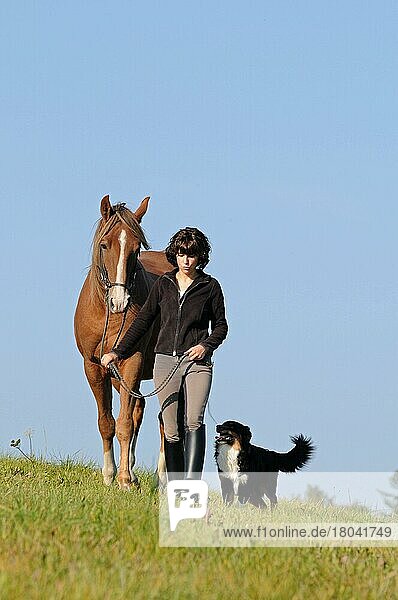 Frau mit American Saddlebred Horse und Hund  Reitbegleithund