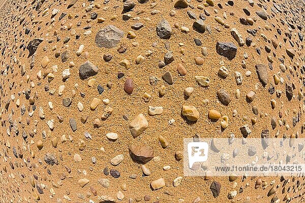 Kleine Steine  Libysche Wüste  Sahara  Libyen  Afrika