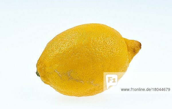 Lemon  Citrus Lemon