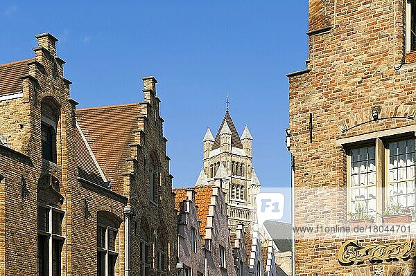 Glockenturm der St. Salvator-Kathedrale  Altstadt von Brügge  Flandern  Belgien  Europa