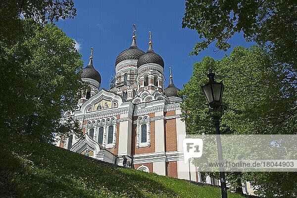 Alexander Nevski Cathedral  Baltic States  Europe  Russian Orthodox  Toompea Hill  Tallinn  Estonia  Europe