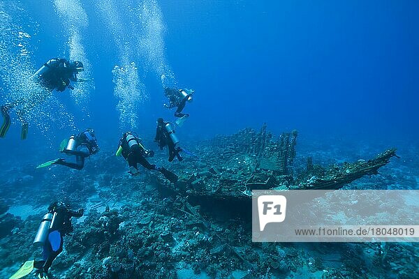 Divers on the wreck of the Heaven One  Abu Dabab  Red Sea  Egypt  Africa