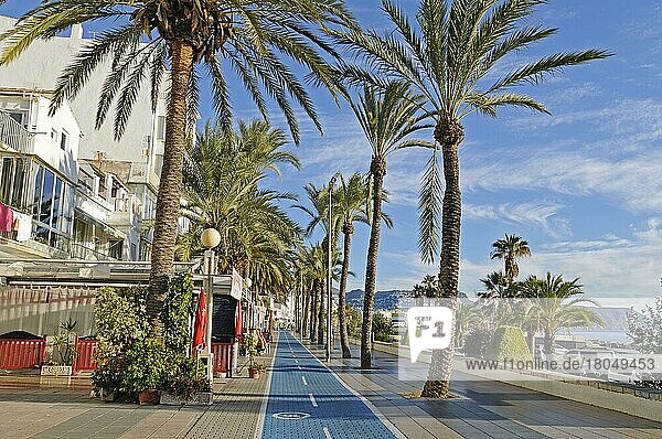 Palmen  Restaurants  Fahrradweg  Strandpromenade  Morgenlicht  Altea  Costa Blanca  Provinz Alicante  Spanien  Europa