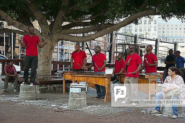 Musicians  Victoria and Alfred Waterfront  Cape Town  Western Cape  South Africa  Africa