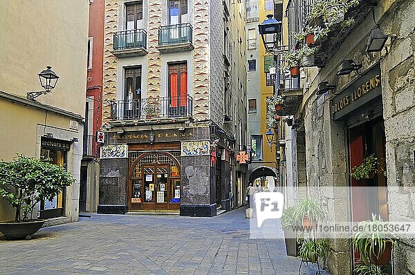 Viertel Barri Vell  Girona  Katalonien  Spanien  Gerona  Europa