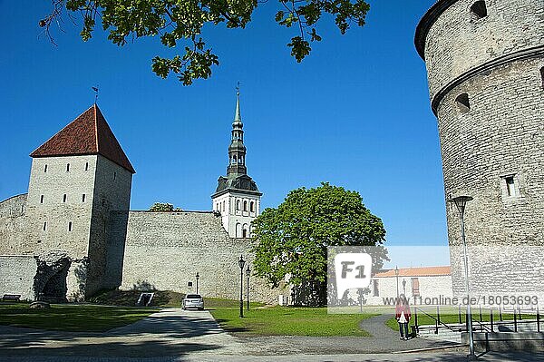 Stadtmauer  Baltikum  Europa  Toompea-Hügel  Tallinn  Estland  Europa