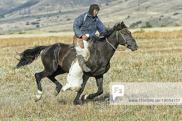 Traditional Kokpar or Buzkashi in the outskirts of Gabagly National Park  Shymkent  Southern Region  Kazakhstan  Central Asia  For editorial use only  Asia