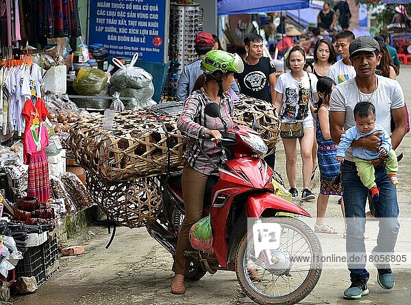 Hühner  Motorrad  Transport  Sa Pa  Vietnam  Asien
