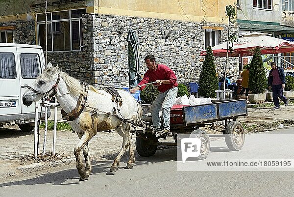 Horse with carriage and goods  Peshkopi  Albania  Europe