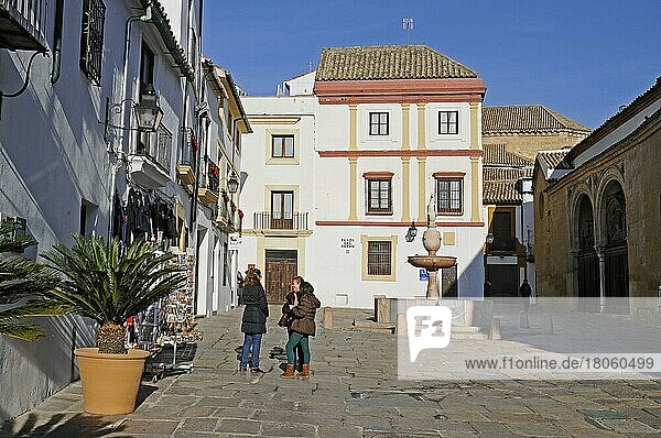 Brunnen  Plaza del Potro  Platz  Museum der schönen Künste  Cordoba  Provinz Cordoba  Andalusien  Spanien  Europa
