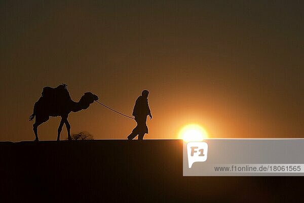 Marokko  Wüste Erg Chebbi  Dünen  Sonnenuntergang  Kameltreiber  Afrika