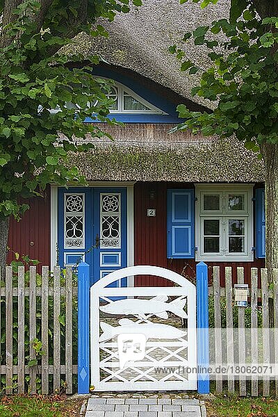 Verzierte Eingangstür des idyllischen Reetdachhauses im Dorf Born  auf dem Darß  Fischland-Darß-Zingst  Mecklenburg-Vorpommern  Deutschland  Europa