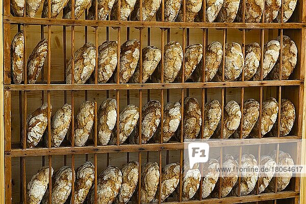 Erntedank  Regale mit Brot  Brot und Strudlemarkt  Brixen  Südtirol  Erntedankfest  Italien  Europa