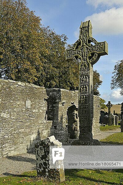 Tall Cross  Monasterboice  Drogheda  Grafschaft Louth  Westkreuz  Irland  Europa