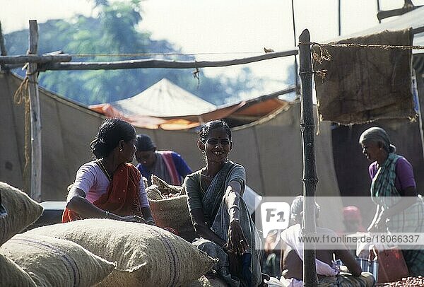 Village woman sitting in Periodical market at Perundurai near Erode  Tamil Nadu  India  Asia