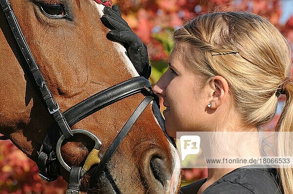 Wife and german warmblood  german riding horse  bridle