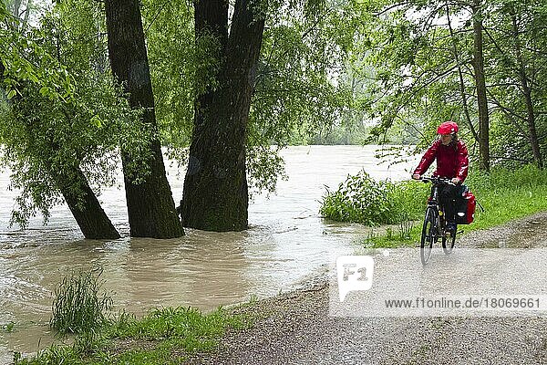 Frau auf Fahrrad  Isarradweg  Isar bei Hochwasser  Oberbayern  Radfahrerin  Deutschland  Europa