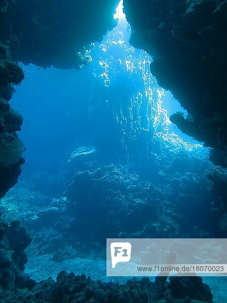 Underwater cave  Shaab Claudio  Red Sea  Egypt  Africa