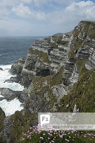 Kerry Cliffs  Portmagee  The Skellig Ring  Irland  Europa