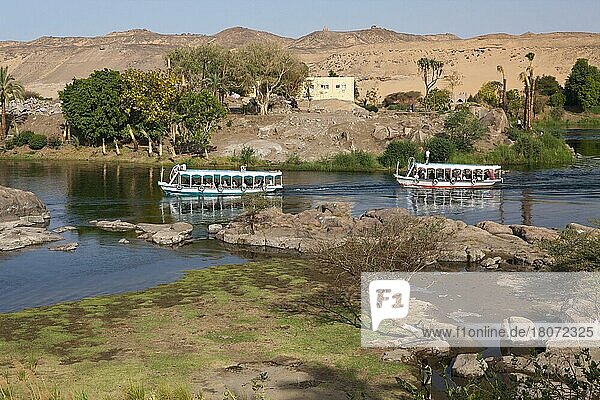 Ausflugsboote auf dem Nil  Assuan  Ägypten  Afrika