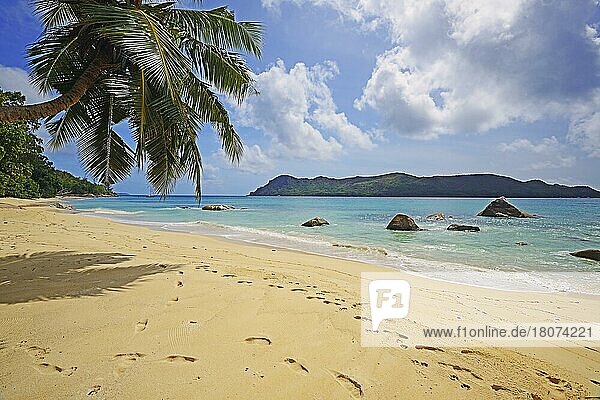 Strand und Palmen am Anse Boudin  Insel Praslin  Seychellen  Afrika