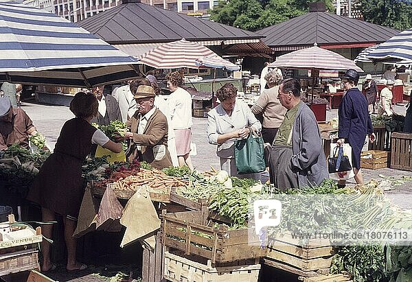 Gemüsestand  Viktualienmarkt  München  Oberbayern  Bayern  Deutschland  Einkauf  einkaufen  Gelbe Rüben  Sellerie  Salat  Siebziger Jahre  70er Jahre  Europa