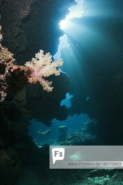 Sonnenstrahlen in Unterwasserhöhle  Namena Marine Park  Fiji  Fiji-Inseln  Fidschi  Ozeanien