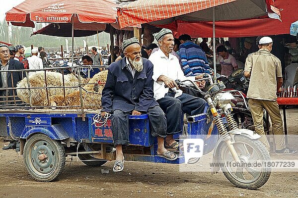 Uigurische Bauern mit einem motorisierten Wagen  beladen mit Schafen auf dem Viehmarkt in Kashgar  Kashi  Xinjiang  China  Asien