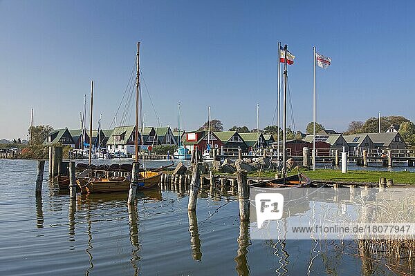 Sailing boats and boathouses at the harbour of Althagen on Fischland-Darß-Zingst  Mecklenburg-Western Pomerania  Germany  Europe