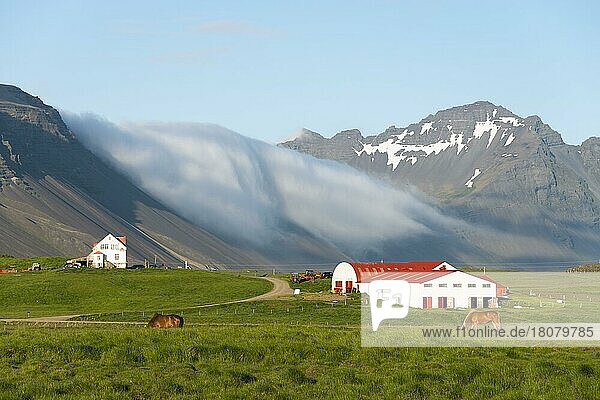 Farm  Bauernhof  nahe Höfn  Island  Europa