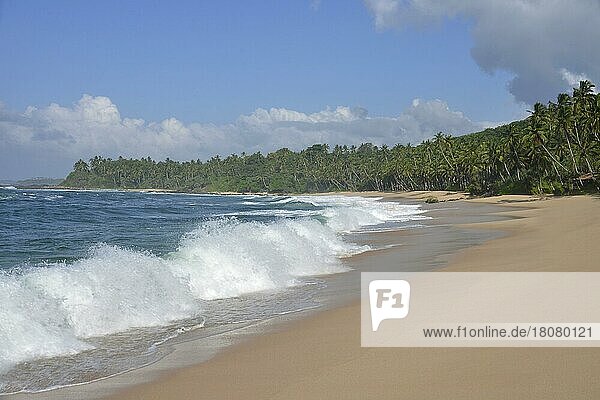 Amanwella Strand  Tangalle  Sri Lanka  Asien